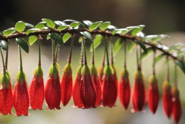 中山西区1私人快速借钱网，轻松解决资金难题