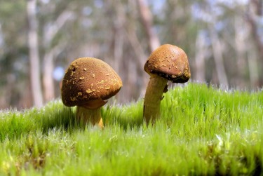 中山西区1私人老板放款：轻松融资的秘密通道